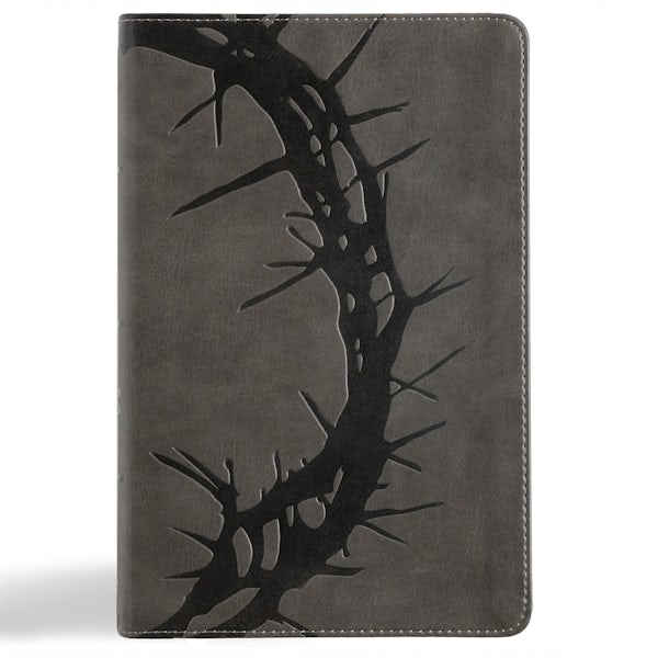 Cover image for NASB Large Print Personal Size Reference Bible, Charcoal Leathertouch, Indexed, isbn: 9798384509479