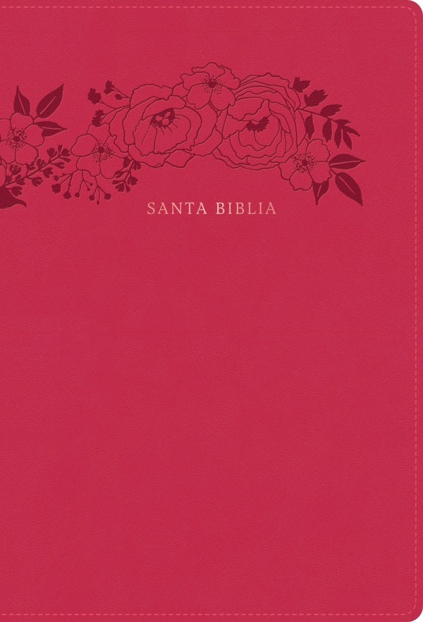 Cover image for Rvr 1960 Biblia Letra Supergigante, Floral Símil Piel, isbn: 9798384515494