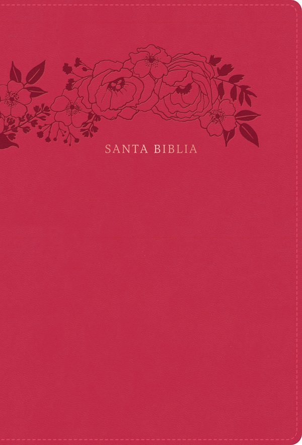Cover image for Rvr 1960 Biblia Letra Supergigante, Floral S�mil Piel, isbn: 9798384515494