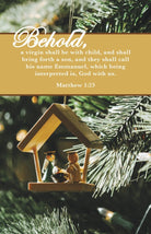 Cover image for Christmas Bulletin: Behold (Package of 100), isbn: 9798384516354