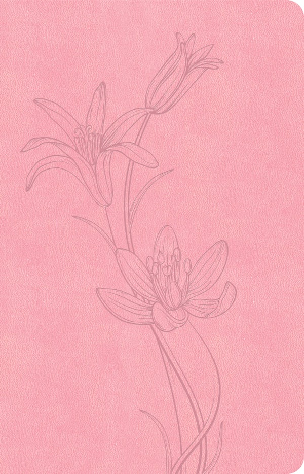 Cover image for CSB Thinline Bible, Value Edition, Soft Pink Leathertouch, isbn: 9798384517528