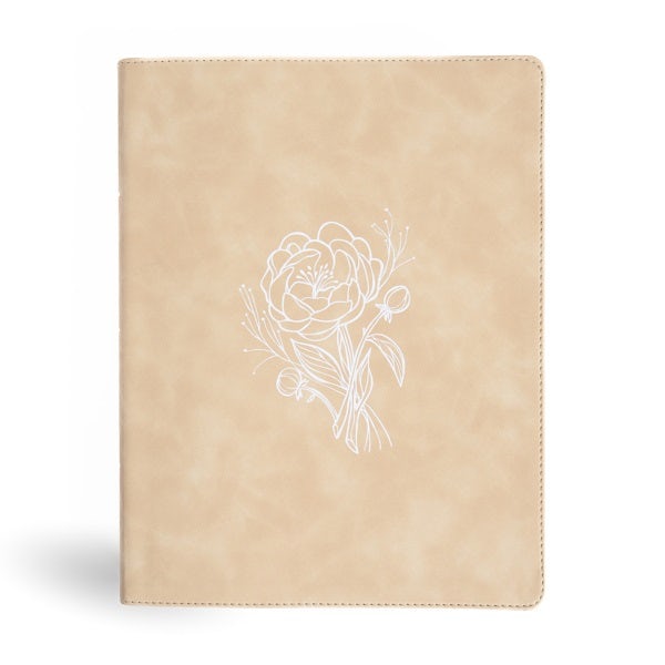 Cover image for CSB Illustrator's Notetaking Bible, Large Print Edition, Cream Leathertouch, isbn: 9798384518266