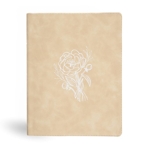 Cover image for CSB Illustrator's Notetaking Bible, Large Print Edition, Cream Leathertouch, isbn: 9798384518266