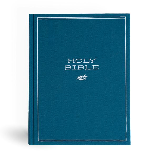Cover image for CSB Illustrator's Notetaking Bible, Large Print Edition, Deep Caribbean Blue Cloth Over Board, isbn: 9798384518280