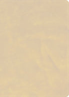 Cover image for CSB She Reads Truth Bible, Holman Handcrafted Collection, Blonde Premium Calfskin, isbn: 9798384518297