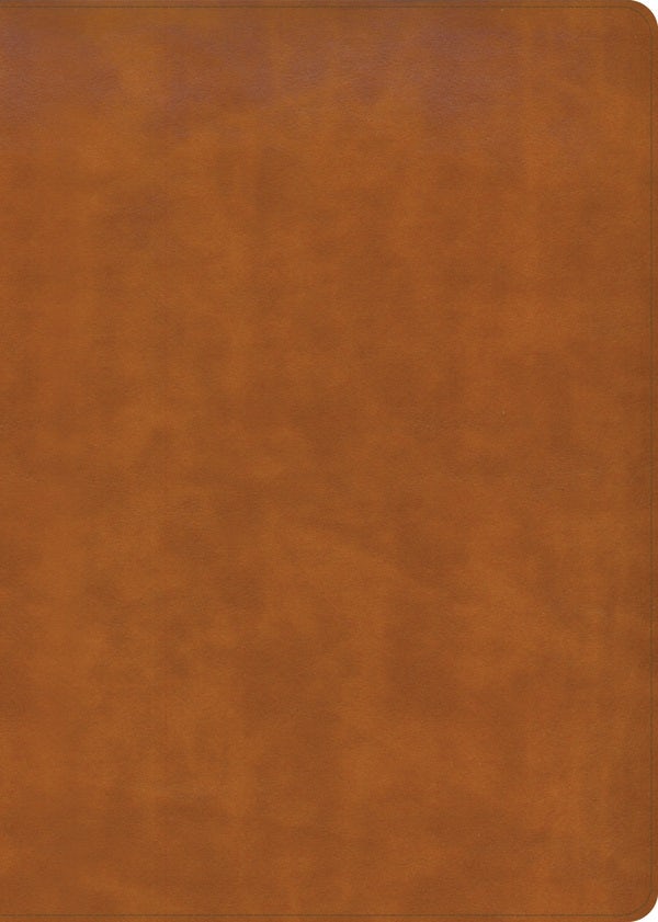 Cover image for CSB Women's Study Bible, Saddle Brown Genuine Leather, Indexed, isbn: 9798384518334