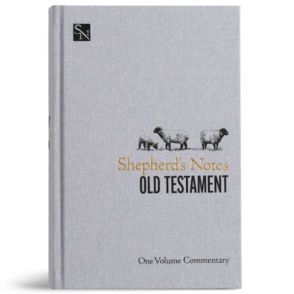 Cover image for Shepherd's Notes on the Old Testament, isbn: 9798384523482
