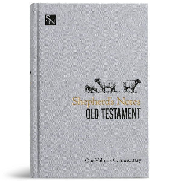Cover image for Shepherd's Notes on the Old Testament, isbn: 9798384523482