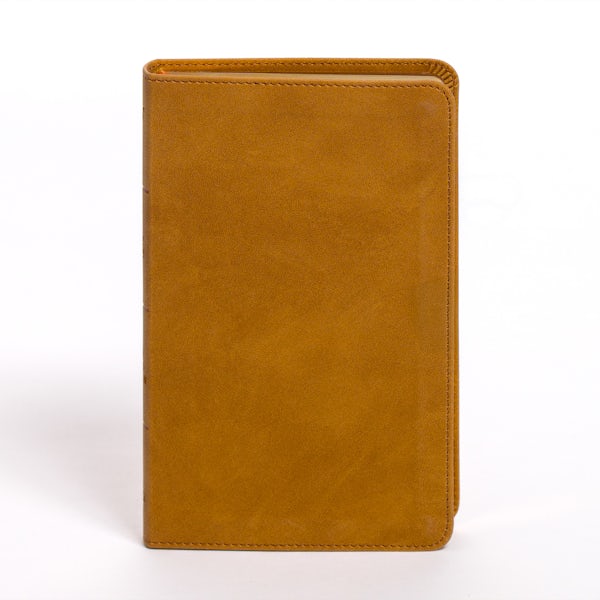 Cover image for KJV Personal Size Bible, Camel Suedesoft Leathertouch, isbn: 9798384525318