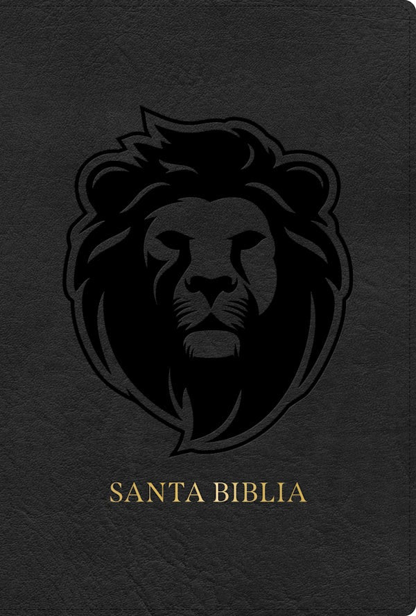 Cover image for Rvr 1960 Biblia Letra Grande Tama�o Manual Edici�n Especial, Ceniza, S�mil Piel, isbn: 9798384525851