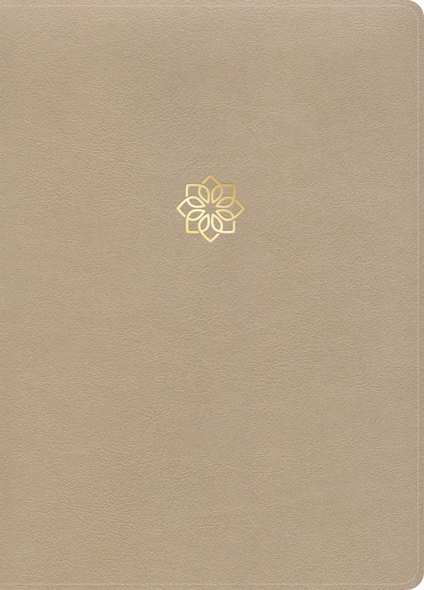 Cover image for CSB Study Bible, Large Print, Digital Study Edition, Gold Leathertouch, isbn: 9798384526216