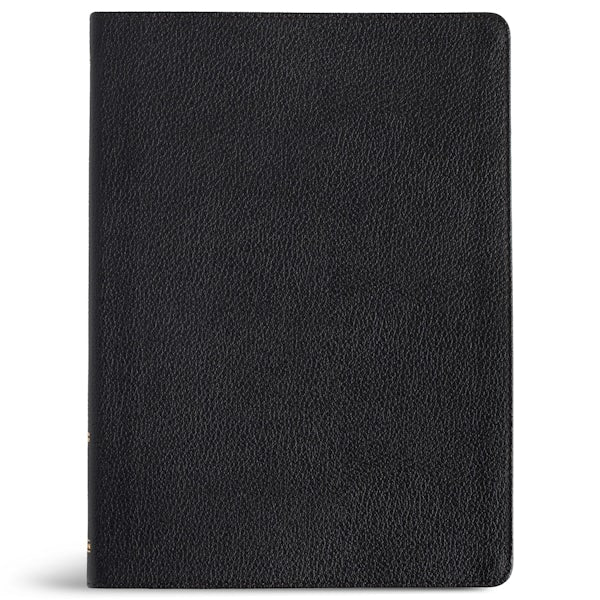 Cover image for CSB Connecting Scripture New Testament, Black Genuine Leather, isbn: 9798384526247