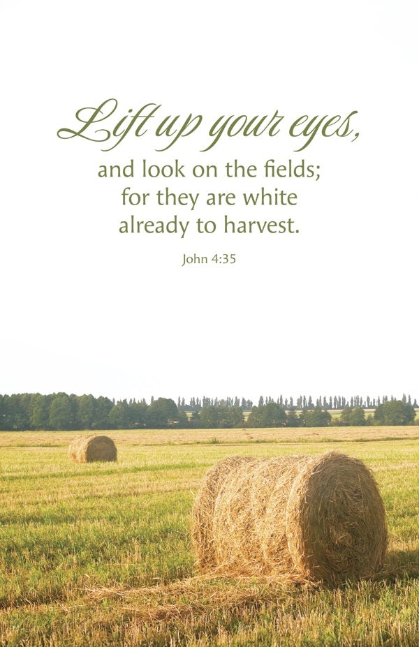 Cover image for General Worship Bulletin: Lift Up (Package of 100), isbn: 9798384527152