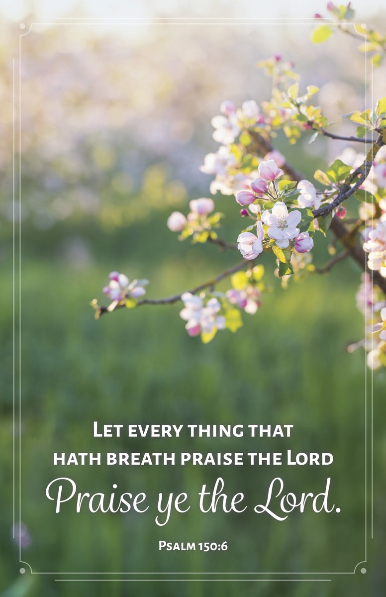 Cover image for General Worship Bulletin: Let Every Thing (Package of 100), isbn: 9798384527206