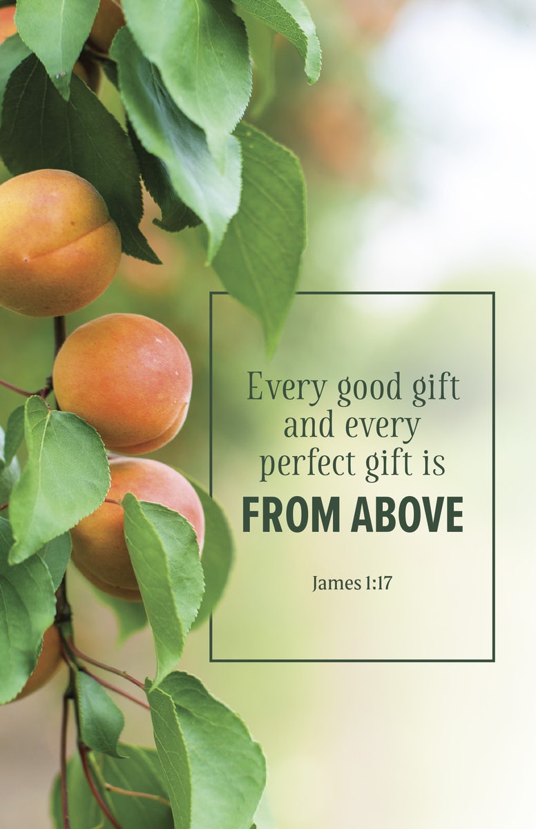 Cover image for Evangelism Bulletin: Every (Package of 100), isbn: 9798384527220
