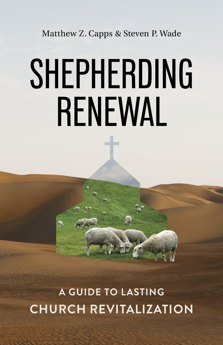 Cover image for Shepherding Renewal, isbn: 9798384529712