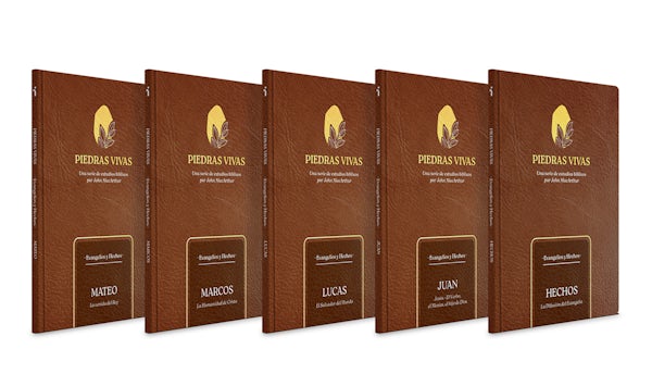 Cover image for Piedras Vivas: Evangelios Y Hechos - La Serie Completa, isbn: 9798384533054