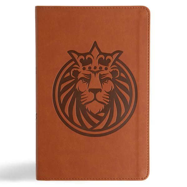 Cover image for CSB Kids Bible, Anglicised Edition, Lion Leathertouch, isbn: 9798384533344