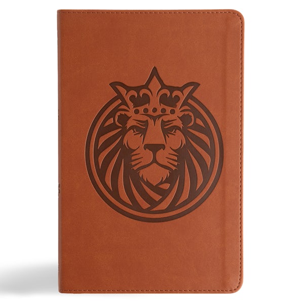 Cover image for CSB Kids Bible, Anglicised Edition, Lion Leathertouch, isbn: 9798384533344