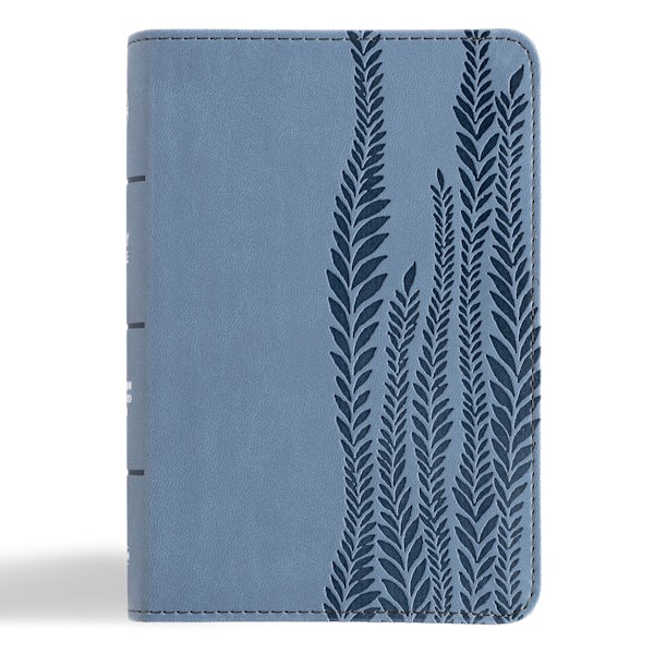 Cover image for CSB Large Print Compact Reference Bible, Digital Study Edition, Slate Leathertouch, isbn: 9798384533375