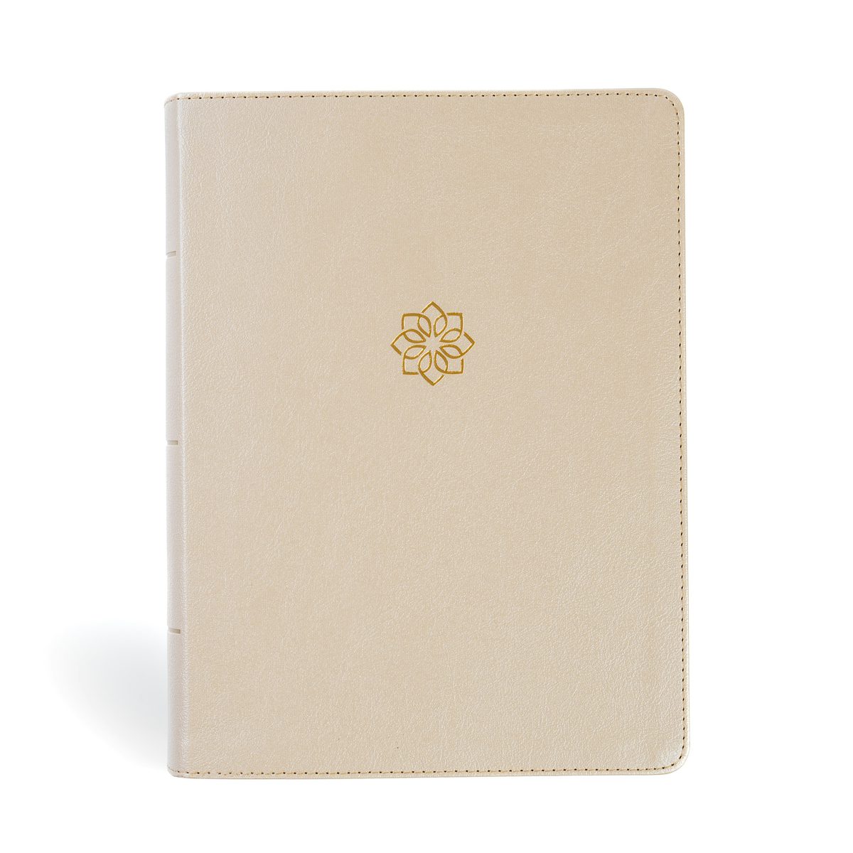 Cover image for CSB Study Bible, Large Print, Digital Study Edition, Gold Leathertouch, Indexed, isbn: 9798384533511