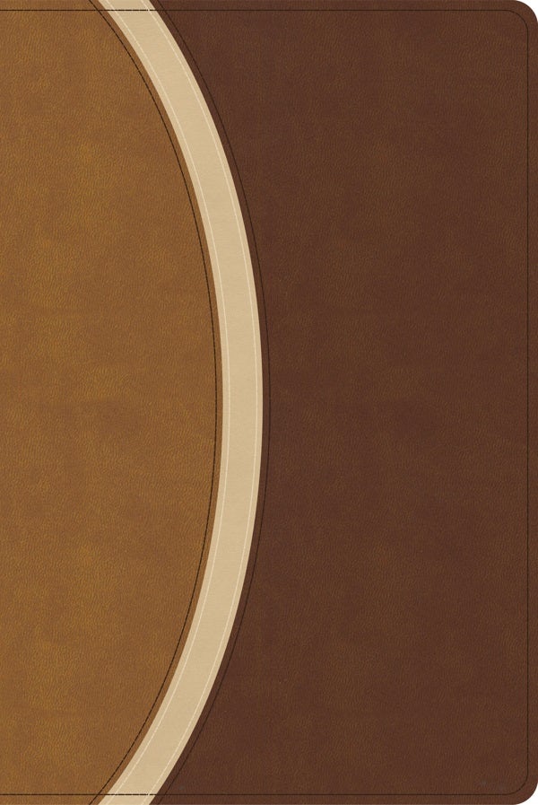 Cover image for CSB Rainbow Study Bible, Brown Leathertouch (Limited Edition), isbn: 9798384534211