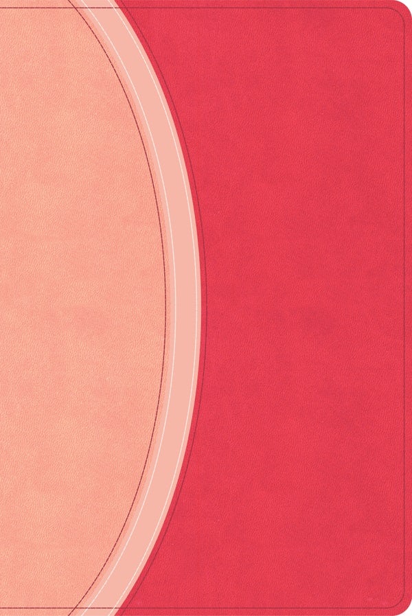 Cover image for CSB Rainbow Study Bible, Pink Leathertouch (Limited Edition), isbn: 9798384534228