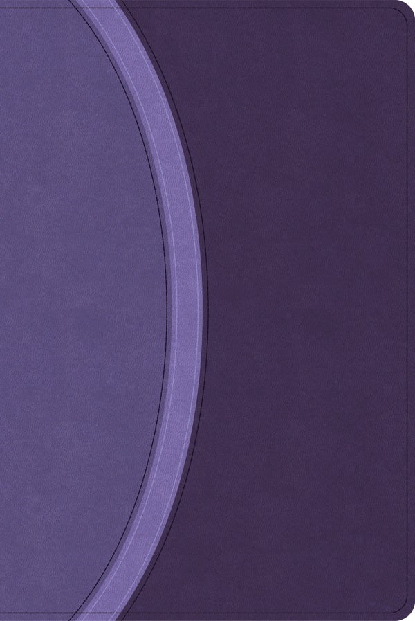 Cover image for CSB Rainbow Study Bible, Purple Leathertouch (Limited Edition), isbn: 9798384534235