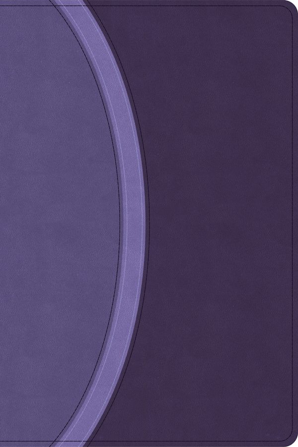 Cover image for CSB Rainbow Study Bible, Purple Leathertouch (Limited Edition), isbn: 9798384534235