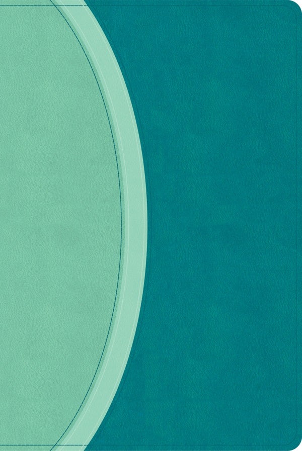 Cover image for CSB Rainbow Study Bible, Teal Leathertouch (Limited Edition), isbn: 9798384534242