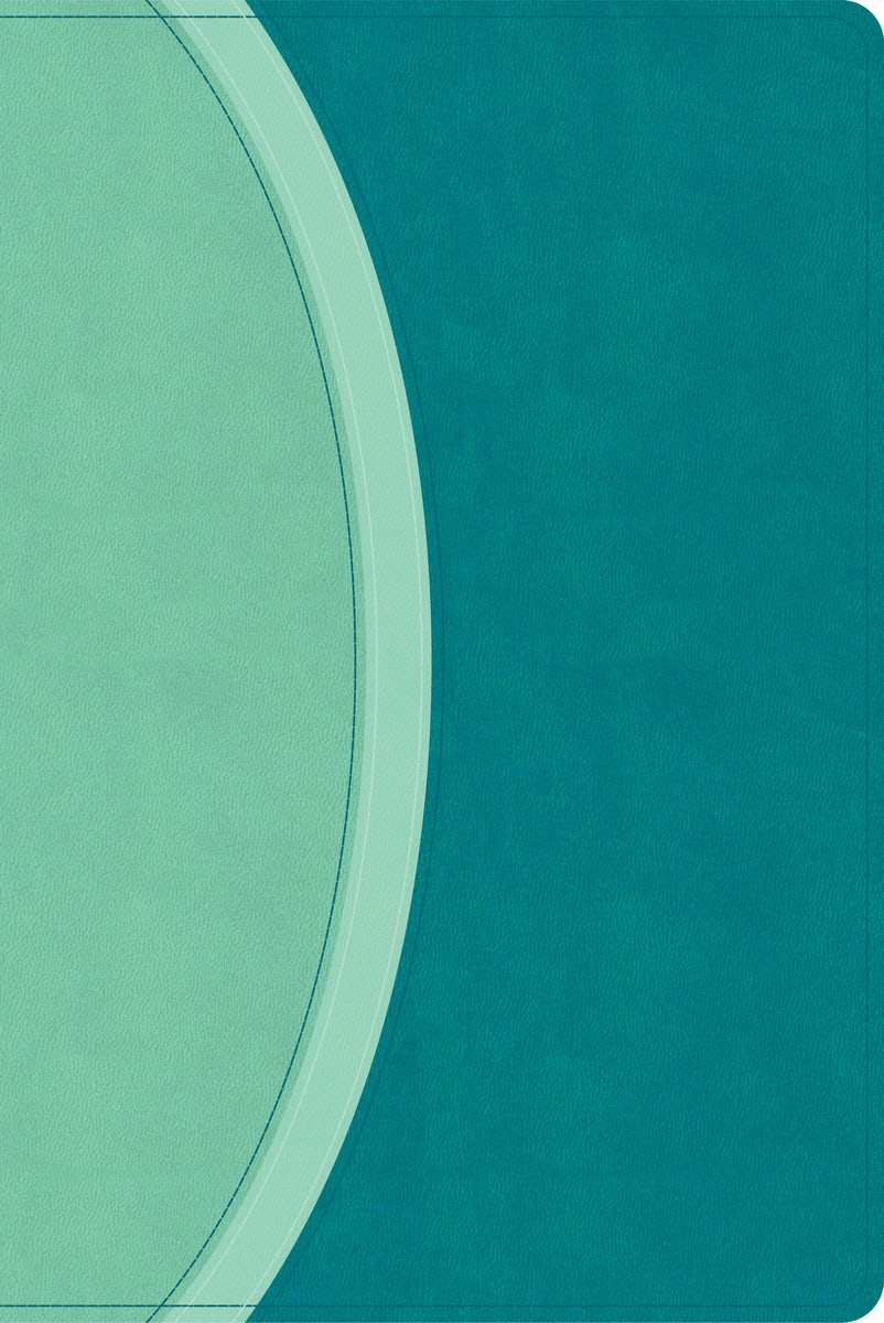 Cover image for CSB Rainbow Study Bible, Teal Leathertouch (Limited Edition), isbn: 9798384534242