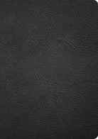 Cover image for CSB Baker Illustrated Study Bible, Black Genuine Leather, isbn: 9798384540199