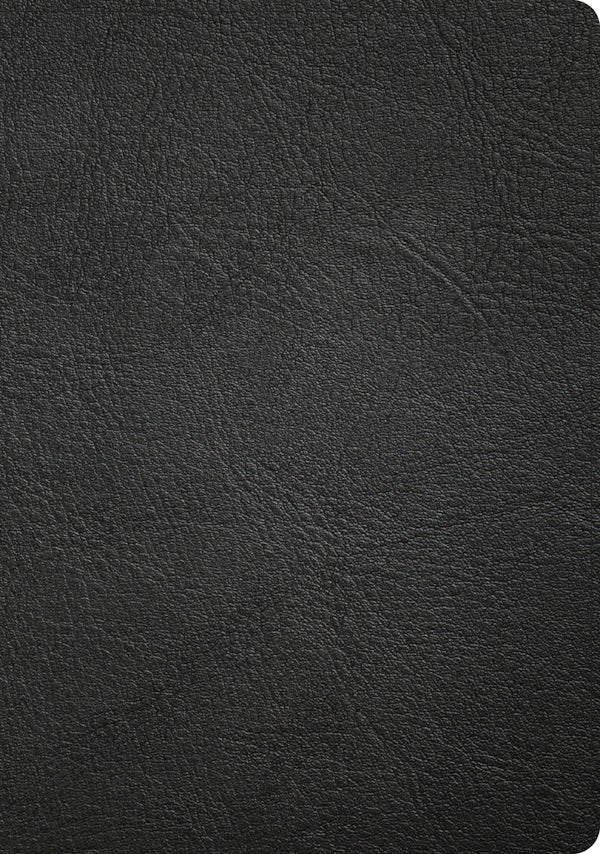Cover image for CSB Baker Illustrated Study Bible, Black Genuine Leather, isbn: 9798384540199