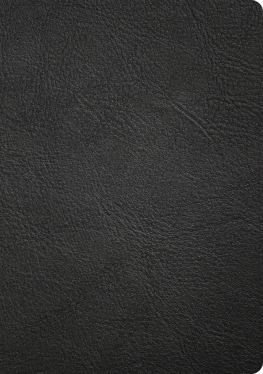 Cover image for CSB Baker Illustrated Study Bible, Black Genuine Leather, Indexed, isbn: 9798384540205