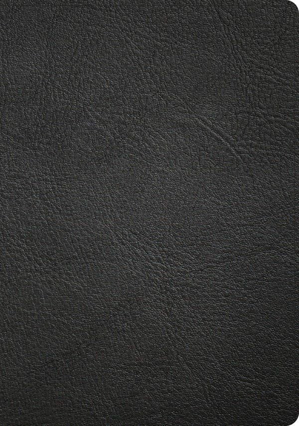 Cover image for CSB Baker Illustrated Study Bible, Black Genuine Leather, Indexed, isbn: 9798384540205