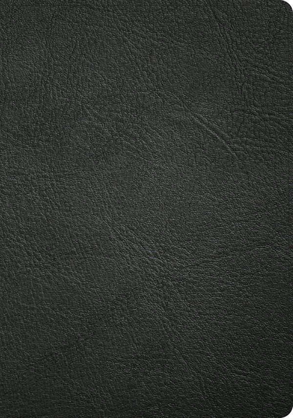 Cover image for CSB Baker Illustrated Study Bible, Black Genuine Leather, Indexed, isbn: 9798384540205
