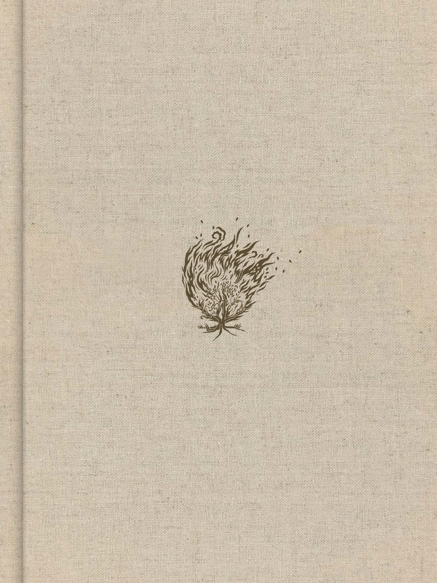 Cover image for CSB Experiencing God Bible, Cream Cloth Over Board, isbn: 9798384540274