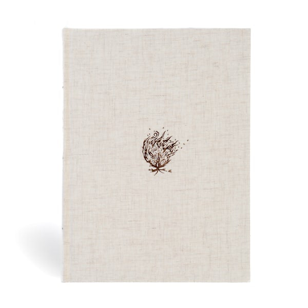 Cover image for CSB Experiencing God Bible, Cream Cloth Over Board, isbn: 9798384540274