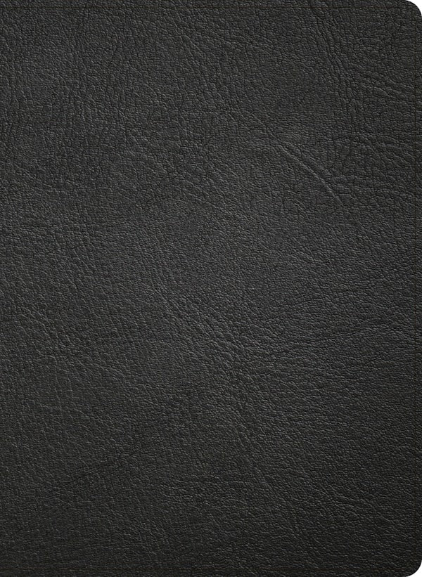 Cover image for NASB Study Bible, Black Genuine Leather, isbn: 9798384540335