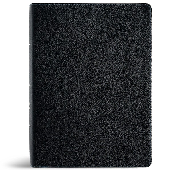 Cover image for NASB Study Bible, Black Genuine Leather, Indexed, isbn: 9798384540342