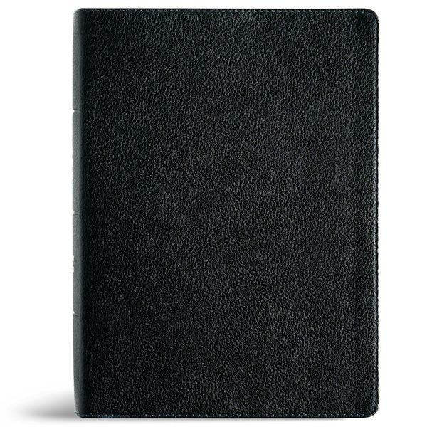 Cover image for NASB Study Bible, Black Genuine Leather, Indexed, isbn: 9798384540342