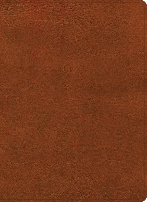 Cover image for NASB Study Bible, Burnt Sienna Leathertouch, Indexed, isbn: 9798384540366