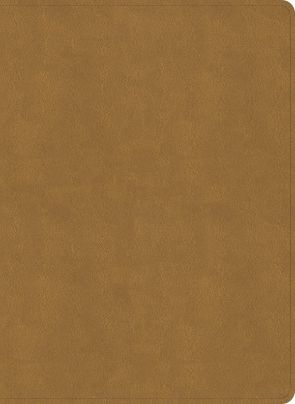 Cover image for NASB Study Bible, Camel Suedesoft Leathertouch, isbn: 9798384540373