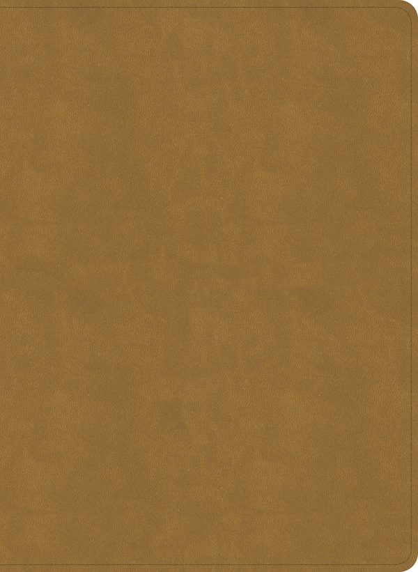 Cover image for NASB Study Bible, Camel Suedesoft Leathertouch, isbn: 9798384540373