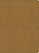 Cover image for NASB Study Bible, Camel Suedesoft Leathertouch, Indexed, isbn: 9798384540380