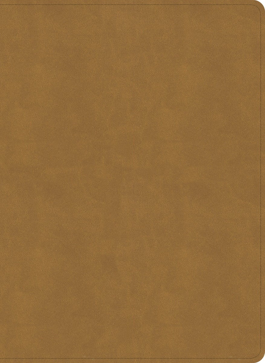 Cover image for NASB Study Bible, Camel Suedesoft Leathertouch, Indexed, isbn: 9798384540380