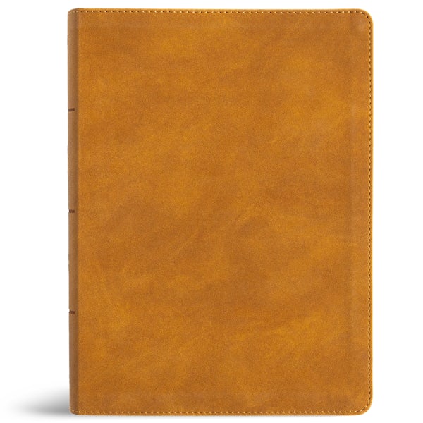 Cover image for NASB Study Bible, Camel Suedesoft Leathertouch, Indexed, isbn: 9798384540380