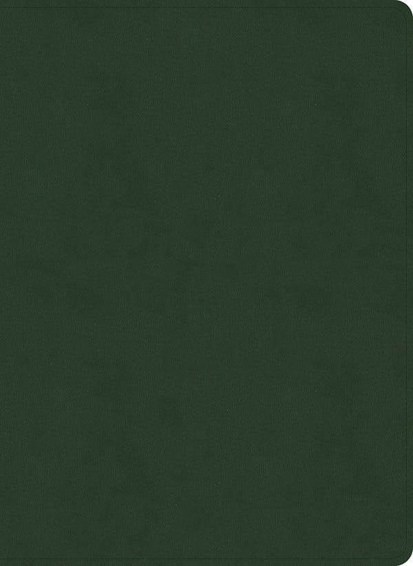 Cover image for NASB Study Bible, Olive Leathertouch, isbn: 9798384540397