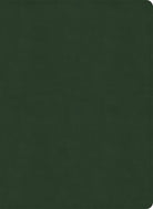 Cover image for NASB Study Bible, Olive Leathertouch, Indexed, isbn: 9798384540403