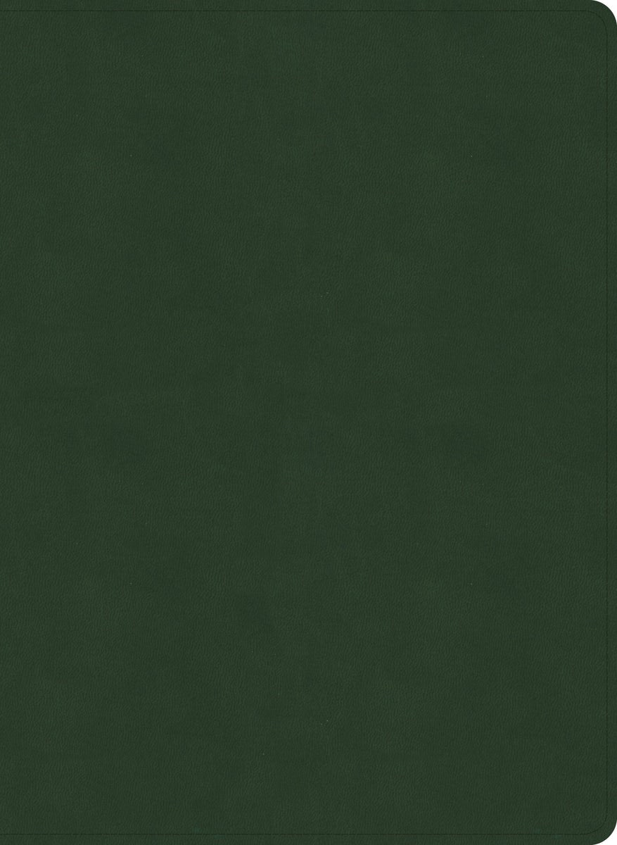 Cover image for NASB Study Bible, Olive Leathertouch, Indexed, isbn: 9798384540403